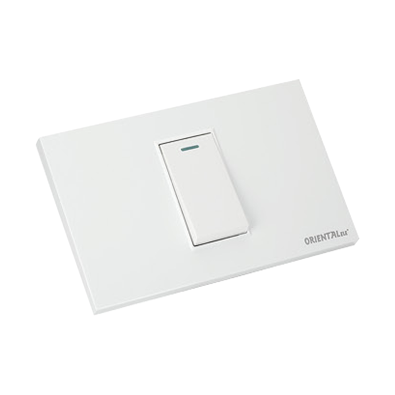 ZQB118 118 bit switch